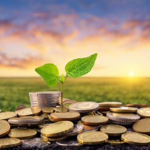 Cómo invertir para la jubilación de forma rentable (y minimizando impuestos)